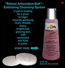 reboot_antioxidant_exfoliating_scrub_blueberries