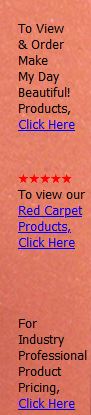 Makeup Skin care products red carpet product industry professionals